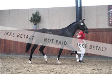 165985_kuo_01_D05_1720.JPG