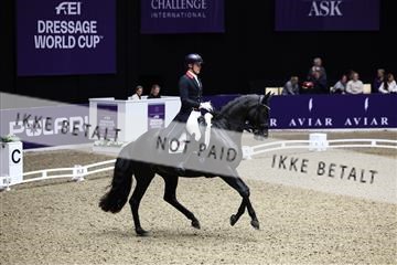 182194_avh_05_2597.JPG