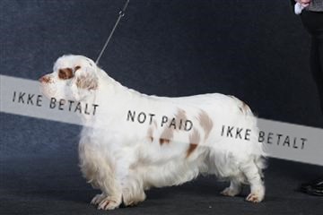 132082_le_ 01_IMG_1000.JPG