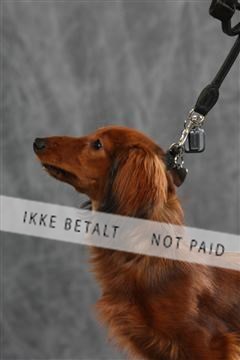 128239_le_ 05_0029.JPG