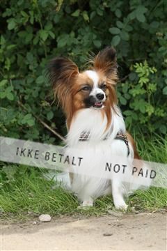 130370_se_01_IMG_5314.JPG
