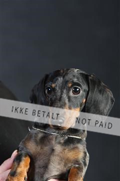 132082_le_ 01_IMG_0173.JPG