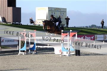 181436_avh_01_2762.JPG