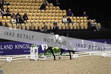 182194_kbb_03_Z090704.JPG