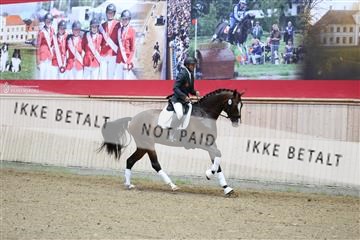 181887_mtp_04_R62_8421.JPG