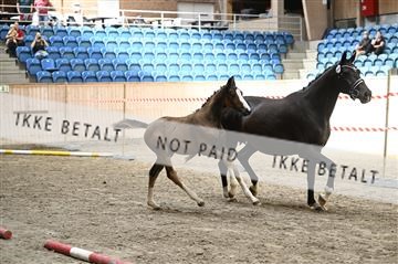 181754_kbb_01_Z093962.JPG