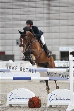 152762_nn _05_IMG_7503.JPG