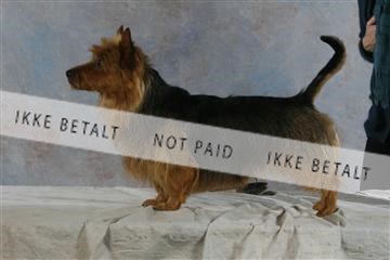 5493_sme _04__MG_9898.JPG