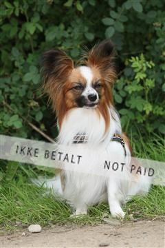 130370_se_01_IMG_5318.JPG