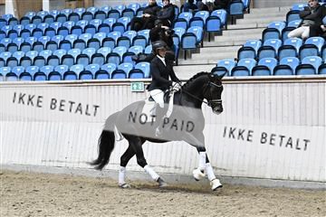 182241_kbb_01_Z095067.JPG