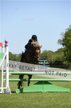 139815_ms_01__MS27420.JPG