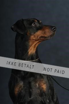 132082_le_ 01_IMG_0773.JPG