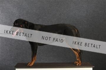 132082_le_ 01_IMG_0800.JPG