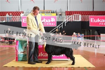 6068_ma_07_IMG_7155.JPG