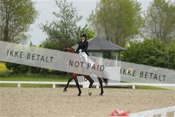 139835_sg_01_IMG_8281.JPG