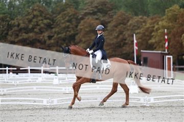 181923_mtp_01_R62_6214.JPG