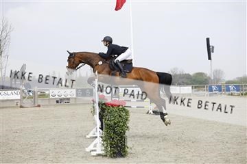 181332_kbb_02_6II6068.JPG