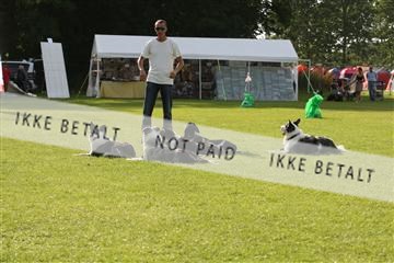 130370_le_02_IMG_7950.JPG