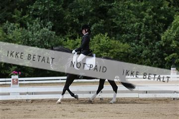 156196_nn_01_IMG_5925.JPG