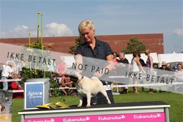 130370_se_03_IMG_7820.JPG