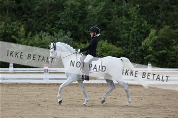 156196_nn_01_IMG_6092.JPG