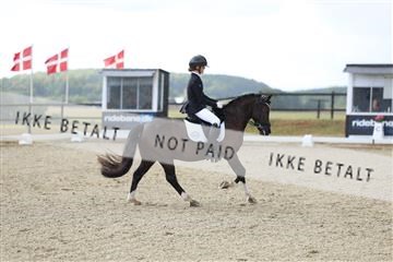 181894_mtp_05_R62_4348.JPG