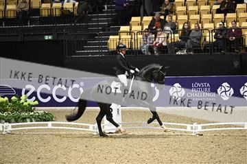 182194_kbb_01_Z097005.JPG