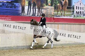 182241_kbb_01_Z093196.JPG