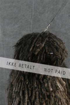 5493_sme _02__MG_9670.JPG