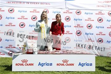 181564_kar_01__62_8541.JPG