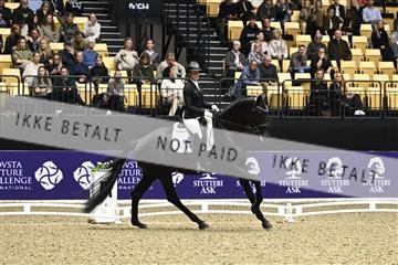 182194_kbb_03_Z090673.JPG