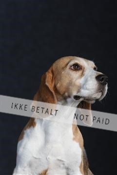 132082_le_ 01_IMG_1550.JPG