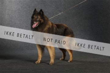 132082_le_ 01_IMG_0950.JPG