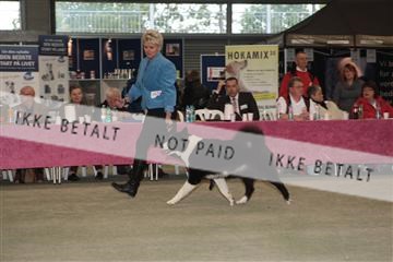 126168_se_01_IMG_0395.JPG