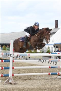 5350_sme _01_IMG_4446.JPG