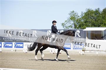 181449_kbb_01_6II9586.JPG