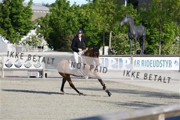 181436_avh_01_2768.JPG
