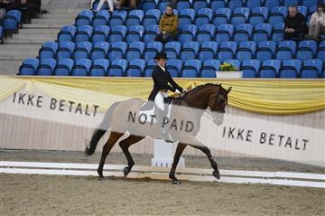 139403_ms_01__MS18626.JPG