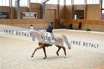 182176_kbb_01_Z093926.JPG
