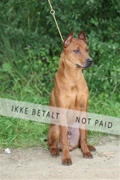 130370_se_01_IMG_5115.JPG