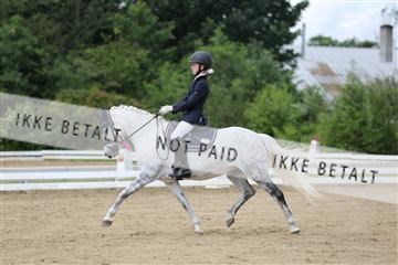 156196_nn_01_IMG_6126.JPG