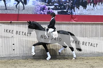 182241_kbb_01_Z093048.JPG