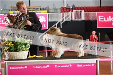 6068_ma_05_IMG_6116.JPG