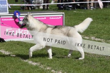 134871_ms_04_IMG_0827.JPG