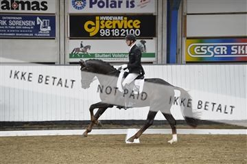 140040_abo_02__AB18588.JPG