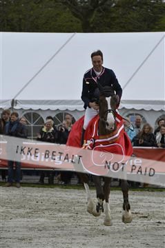 139644_abo_11__AB11611.JPG