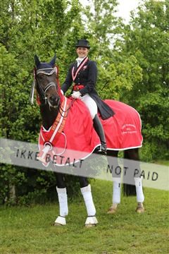 139835_sg_03_IMG_9646.JPG