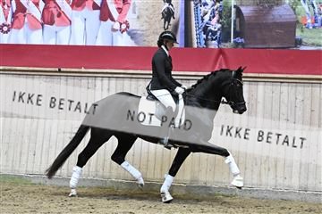 182241_kbb_01_Z094419.JPG