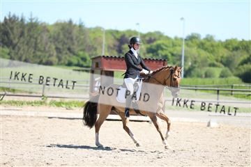168732_mtp_01_3M5A6709.JPG