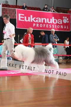 6068_ma_05_IMG_6104.JPG